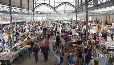 Flohmarkt - Erlebnisgärtnerei Hödnerhof