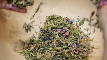 Kräuterworkshop auf der Aschingeralm