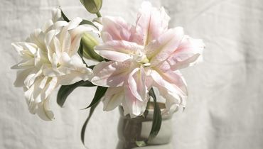 Pfrillsee & Friends - Flowerpower